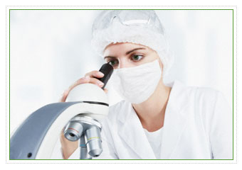 Laboratorio